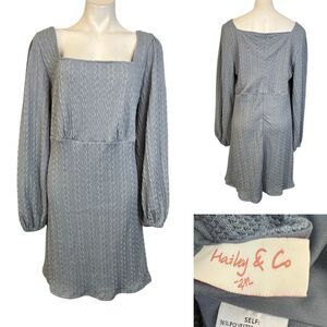 HAILEY & CO dress plus size 2X Light Gray Empire Waist Textured above knee
